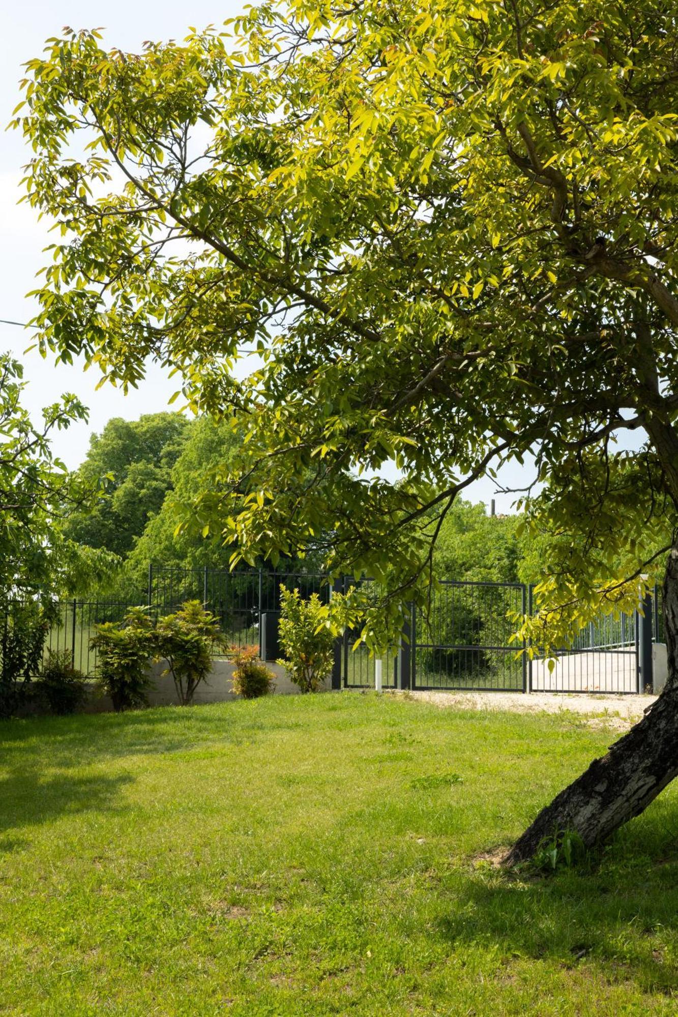 Bed And Breakfast Le Giale 卡斯特努沃德加尔达 外观 照片